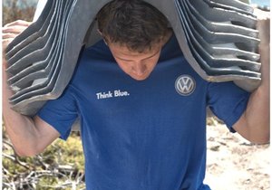 Stony Point African Penguin Colony